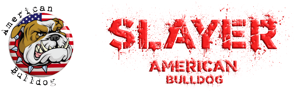 dog logo